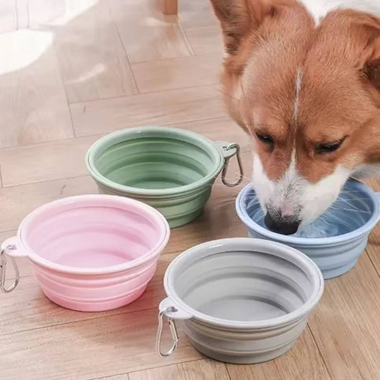 Keep your pet hydrated anywhere with lightweight, collapsible dog travel bowls.